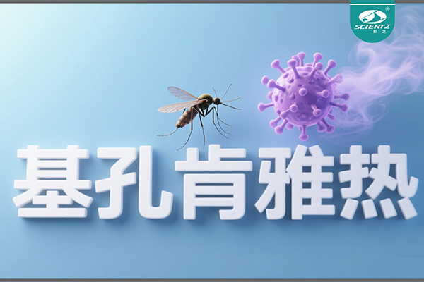 基孔肯雅熱疫情升級！新芝生物硬核技術(shù)助力病毒精準(zhǔn)診斷